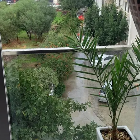 Lux * 法马古斯塔