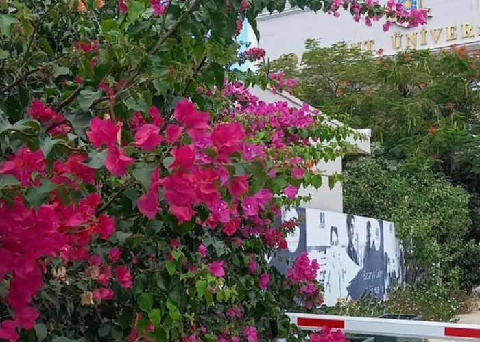 Lux Διαμέρισμα *