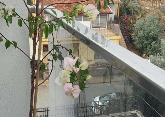 Lux Αμμόχωστος